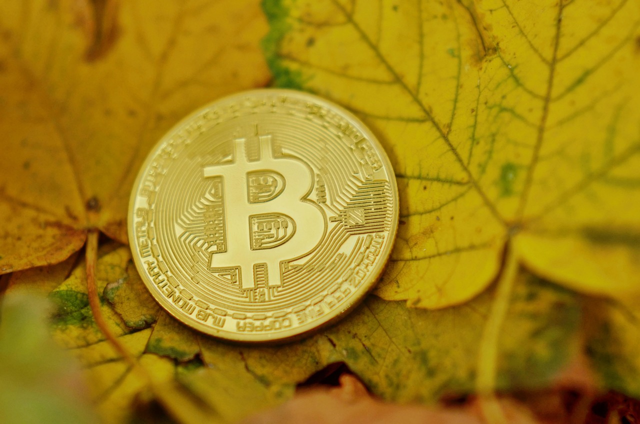 AI概念币ACT、IP 同步暴跌20% 又迅速反弹！诡异的币价走势引热议